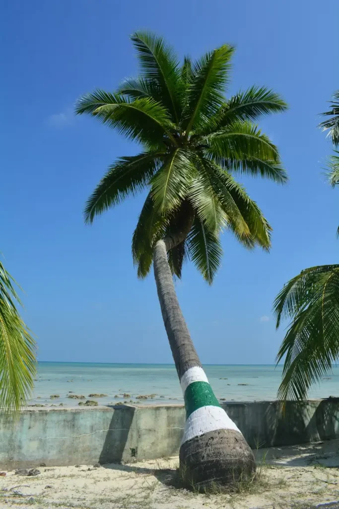Andaman & Nicobar Island