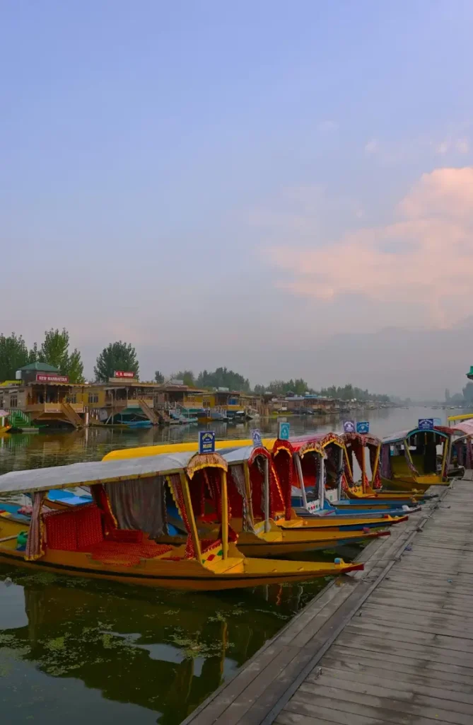 Kashmir